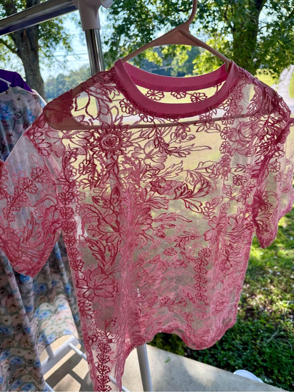 Sheer Pink Floral Lace Short Sleeve Blouse